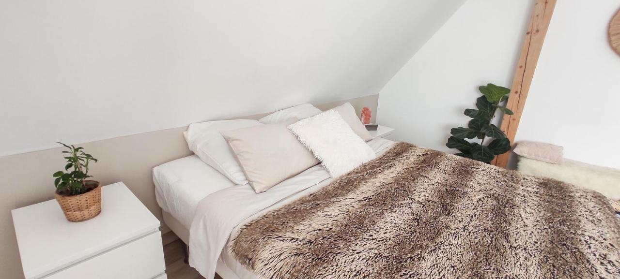 Cocoon Bed And Breakfast Fegersheim ภายนอก รูปภาพ